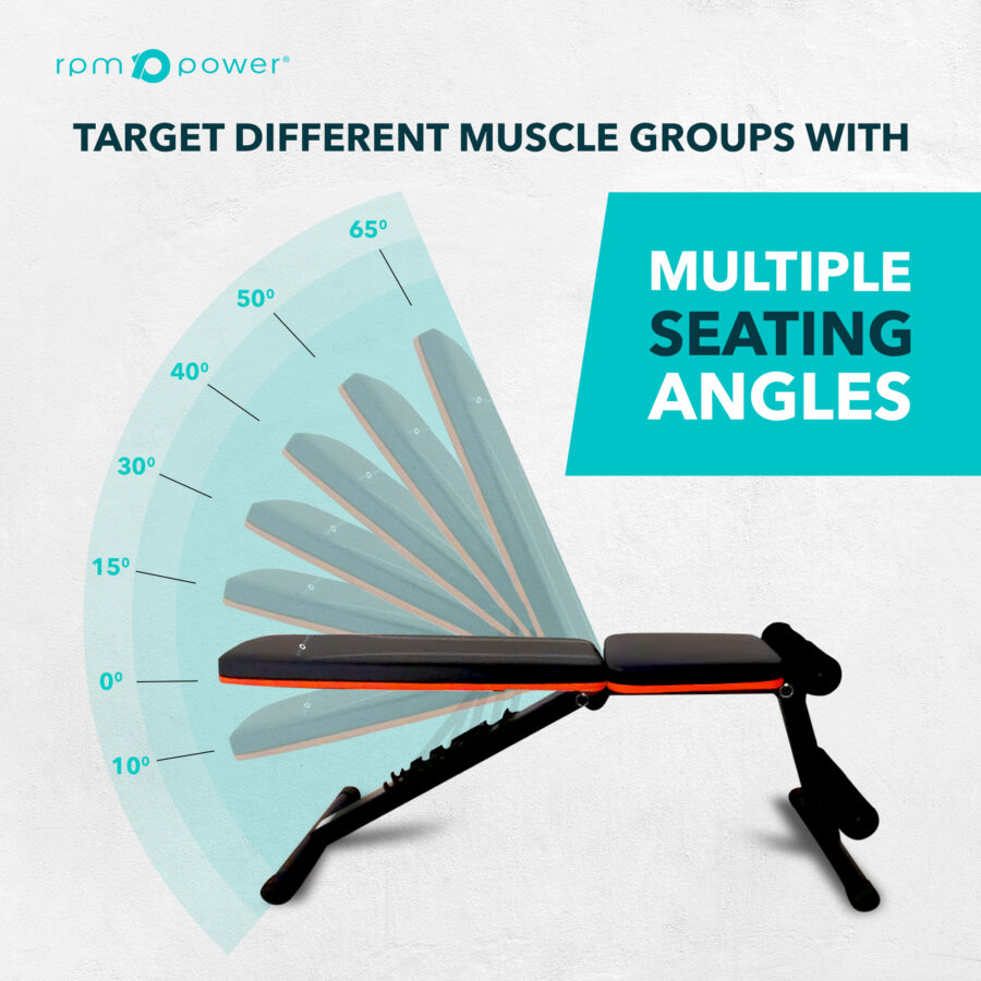 Features and dimensions of commercial weight bench