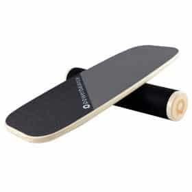 Roller Board Balance Trainer