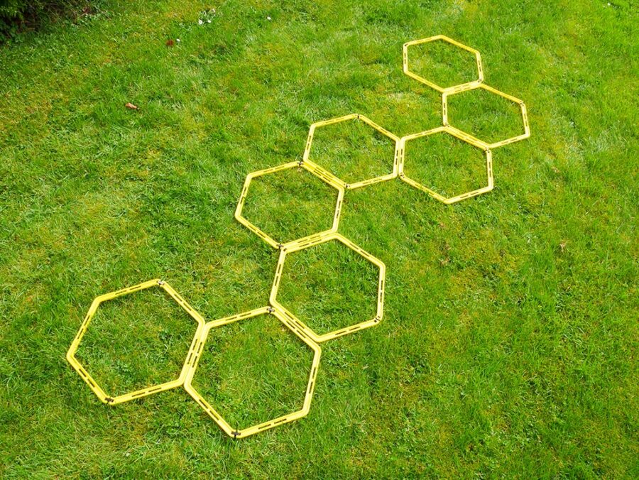 Octagon Agility Ladder & Cones Pack - Image 7