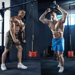 weight plate pulley system
