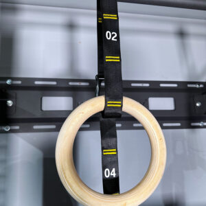 Gymnastic Ring