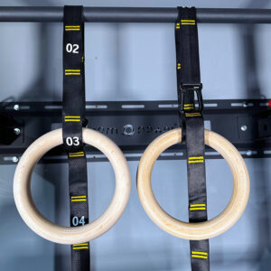 Gymnastic Ring