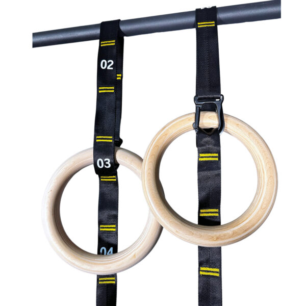 Gymnastic Ring