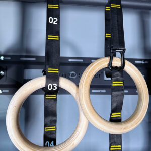 Gymnastic Ring