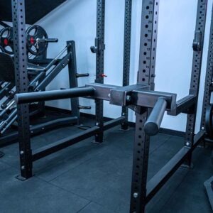 Tricep Dip Horns