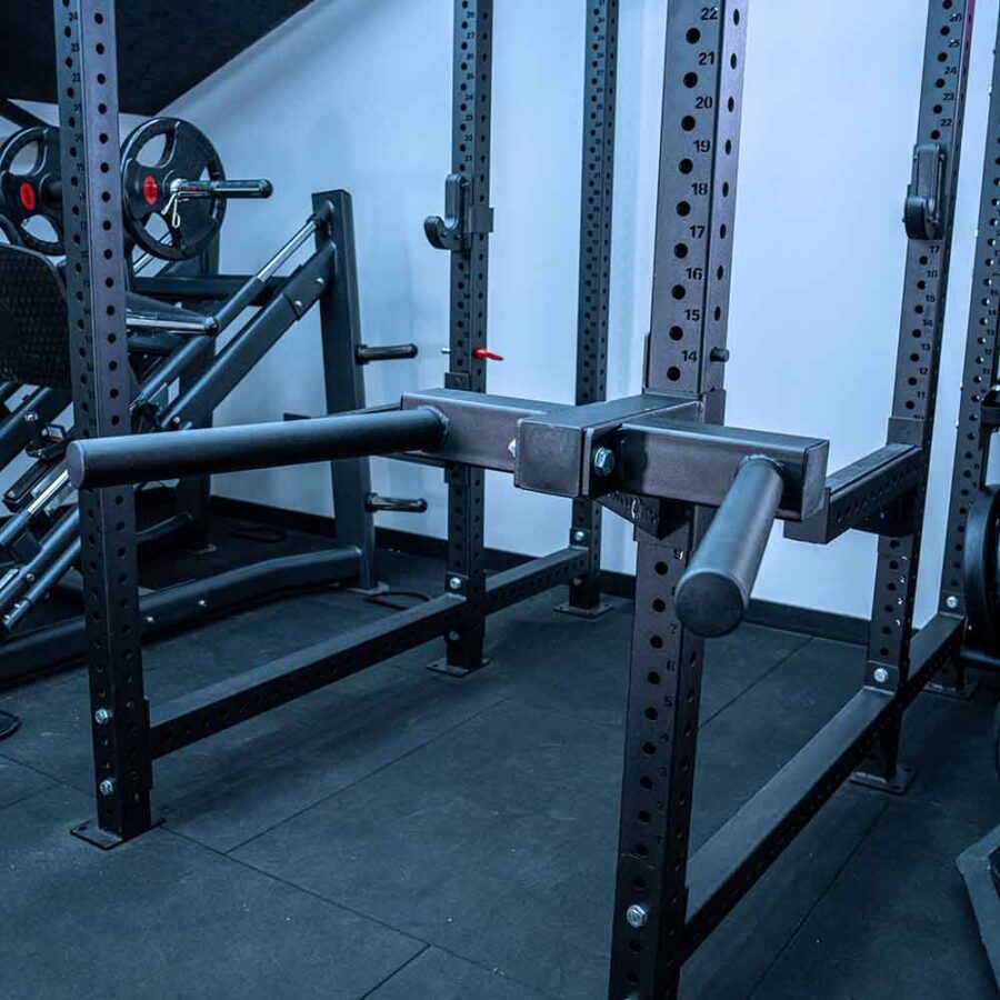 Tricep Dip Horns