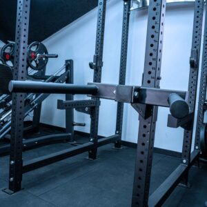 Tricep Dip Horns