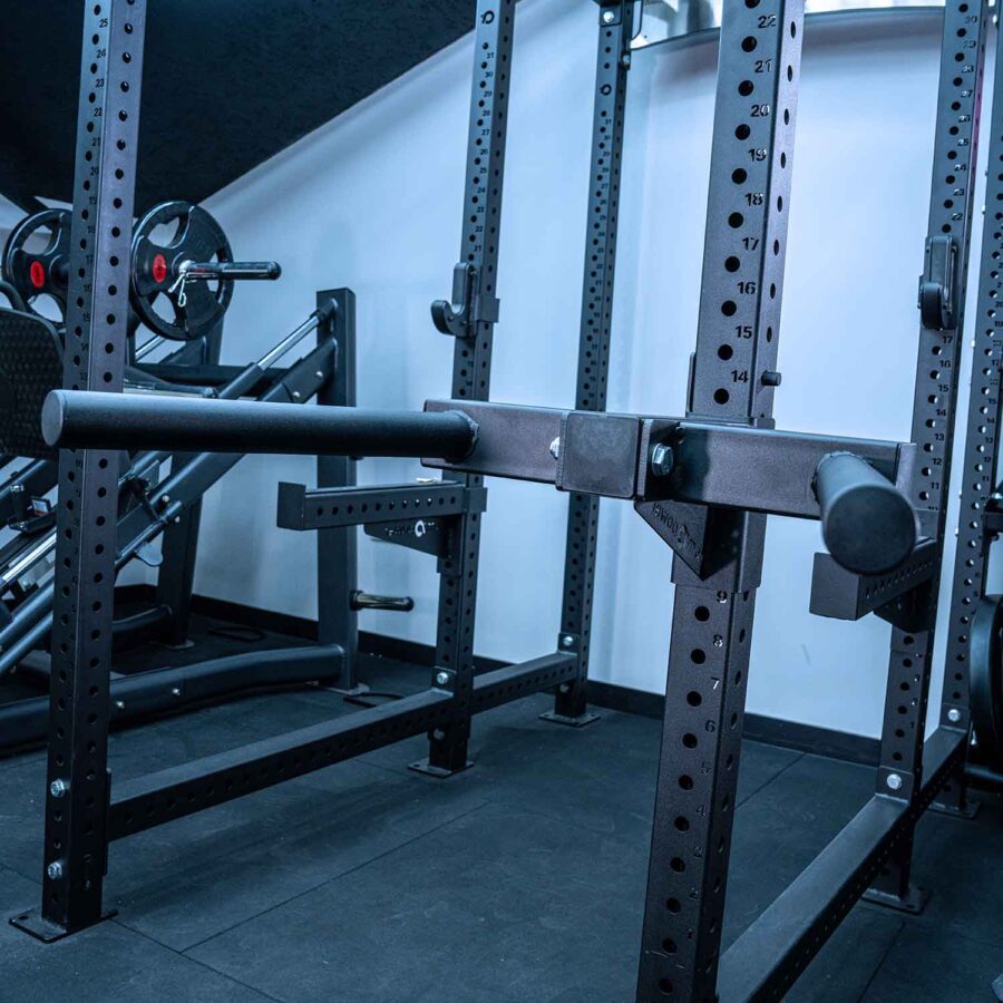 Tricep Dip Horns