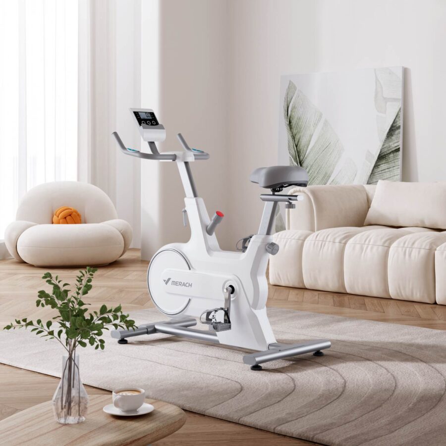 Electromagnetic Spin Bike Falcon - Image 11