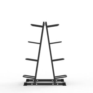 Double Exercise Ball Storage Rack