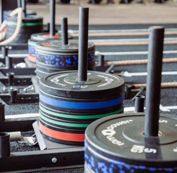 Multiple RPM Power weight plates on sleds