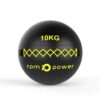 Elite Wall Ball 10kg