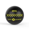 Elite Wall Ball 6kg