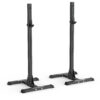 Mobile Squat Stand